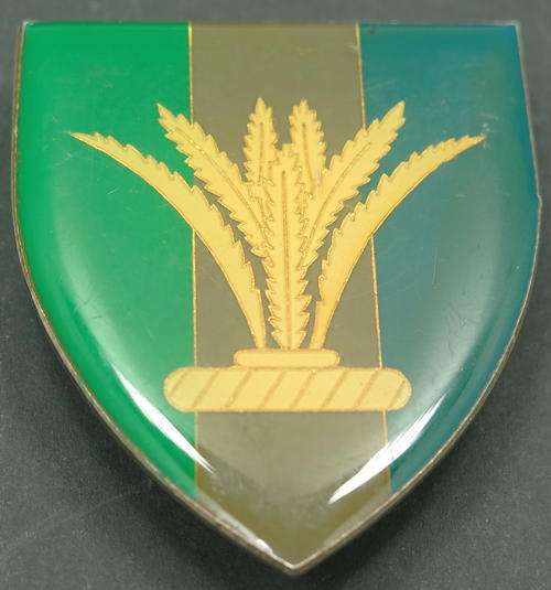 South West Africa Sector 10 Signal Squadron flash. F974
