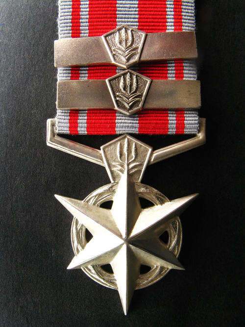 Full Size. South African Police Medal  Combating Terrorism. Stamped Silver Unnamed. Two Bars. Mint.