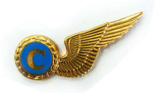 RSA Air Force Chef Half wing, Mess Dress. C28. ..