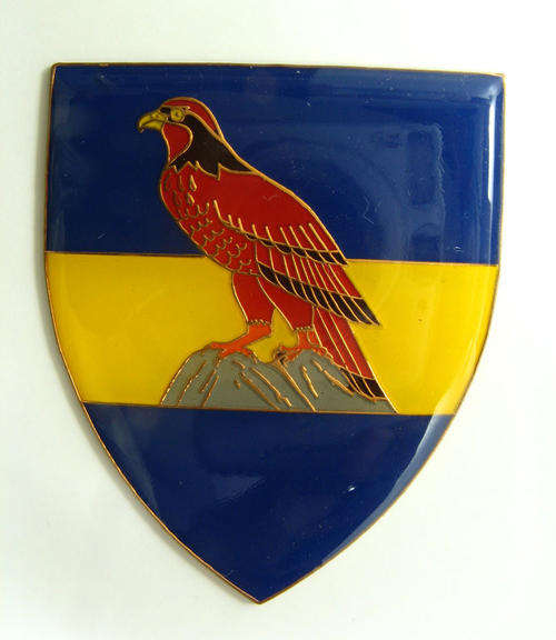 Zambian Army Flash.