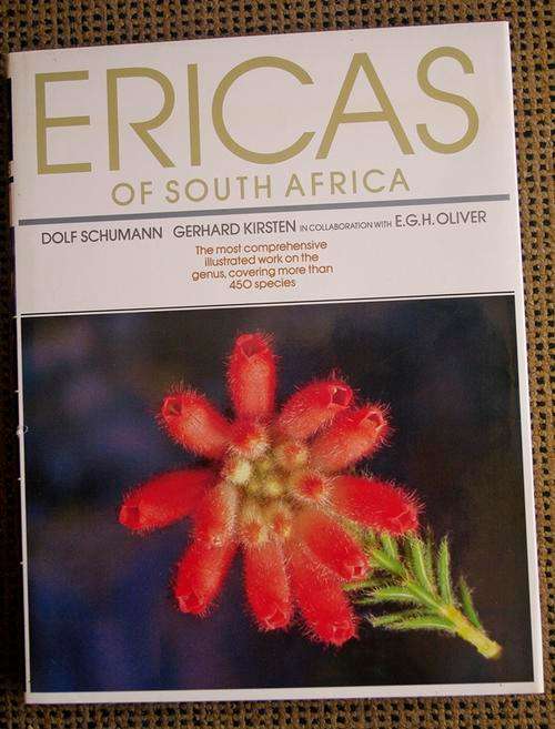 ERICAS of SOUTH AFRICA, by Schumann & Kirsten