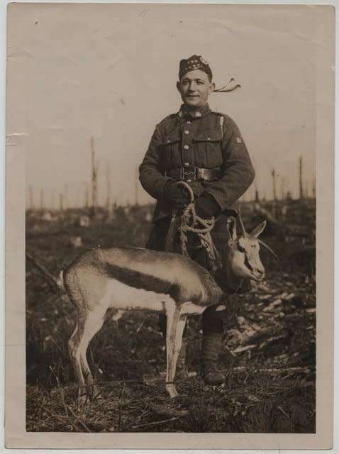 Official Photograph Of The British Western Front In France N101.