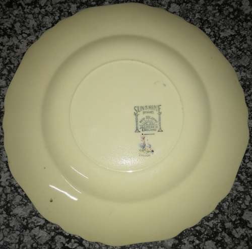 J&G Meakin Made In England Plate