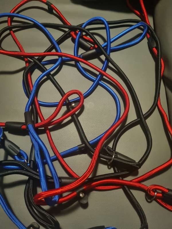 Braided dog leashes - various colors