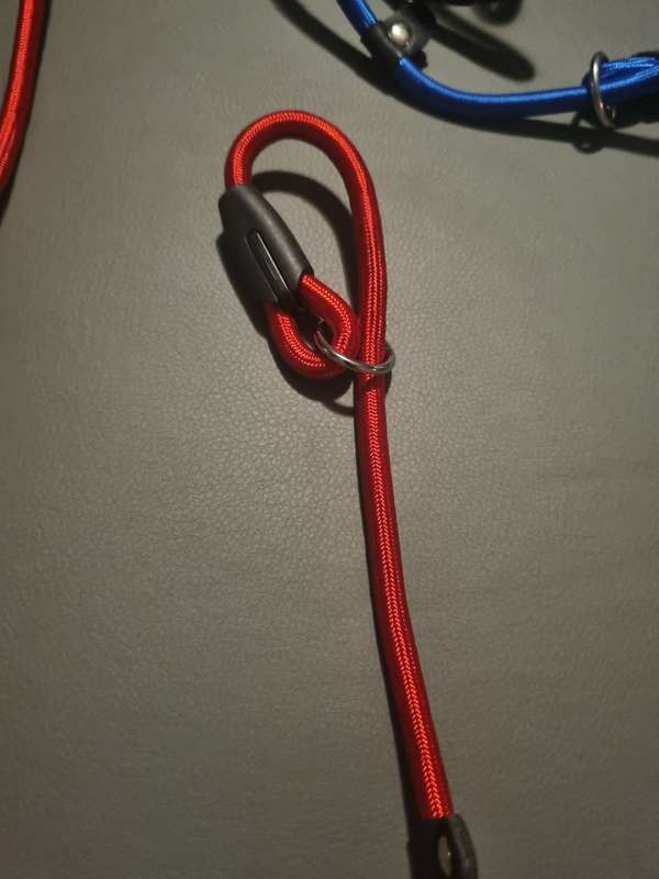 Braided dog leashes - various colors