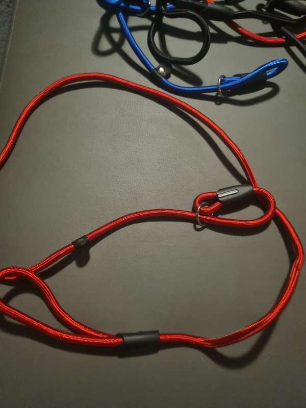 Braided dog leashes - various colors