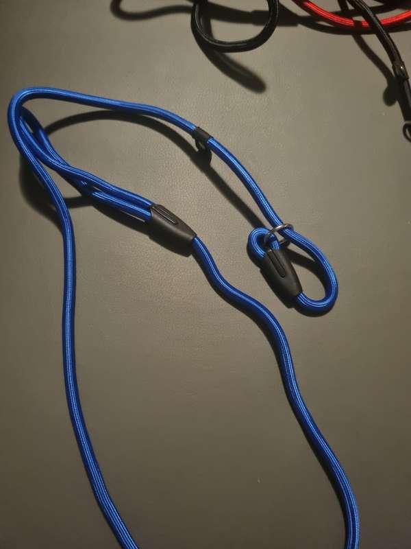 Braided dog leashes - various colors