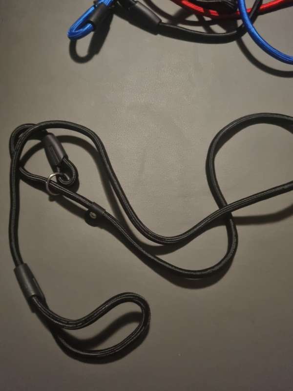 Braided dog leashes - various colors