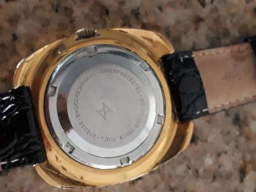 Delfin Edox automatic