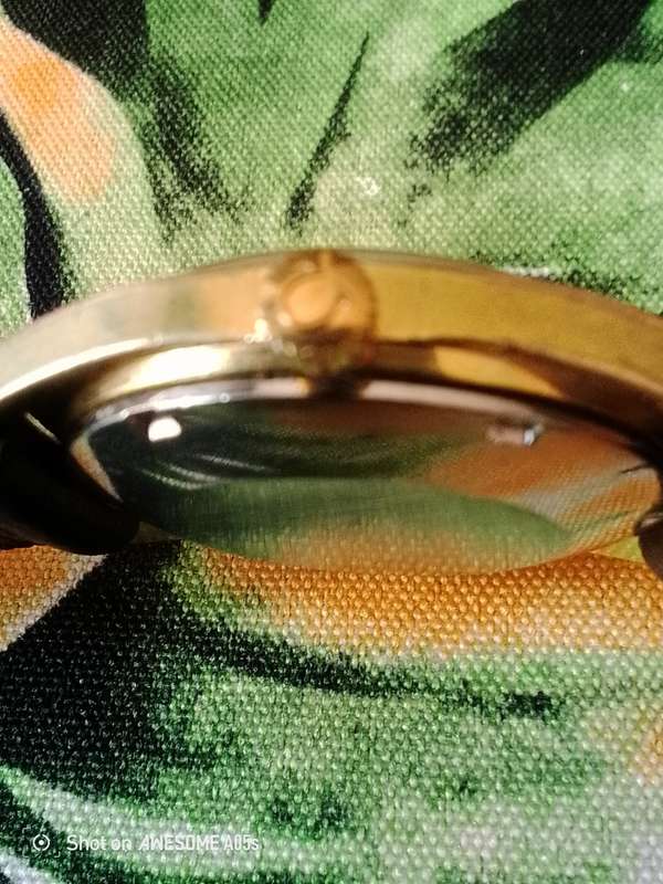Omega Seamaster Auto