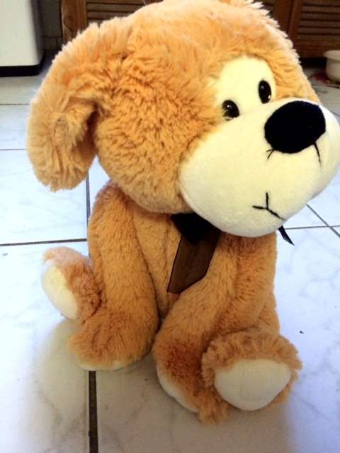 Dog soft toy