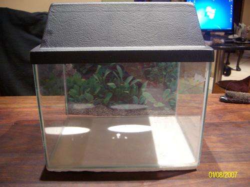Aquarium Fish Tank  with Equipment & Free Extras