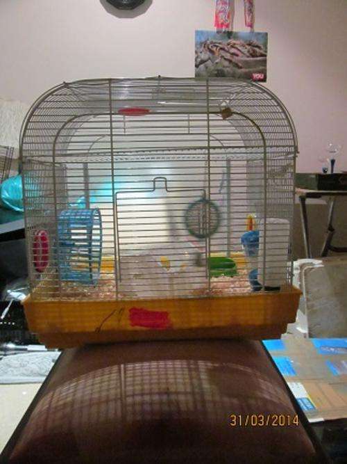 RODENT CAGE with wheel