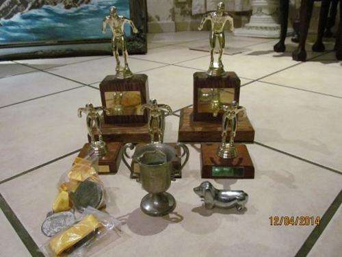 Award Figurines and Medals- 5 off