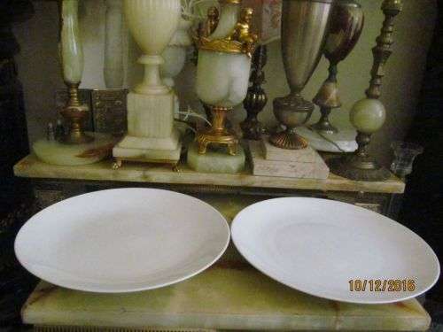 MAXWELL WILLIAMS !! Pair of Large Porcelain Dinner Plates - New
