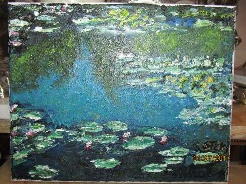 STEYN !! Framed Oil on Canvas - Abstract Art - Lillys at the Pond