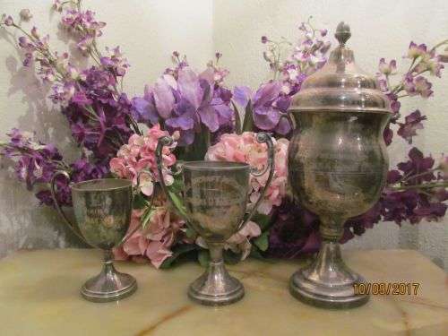 EMESS AWARDS !! Lot of Three Vintage Silver Plated Trophies - Personalized