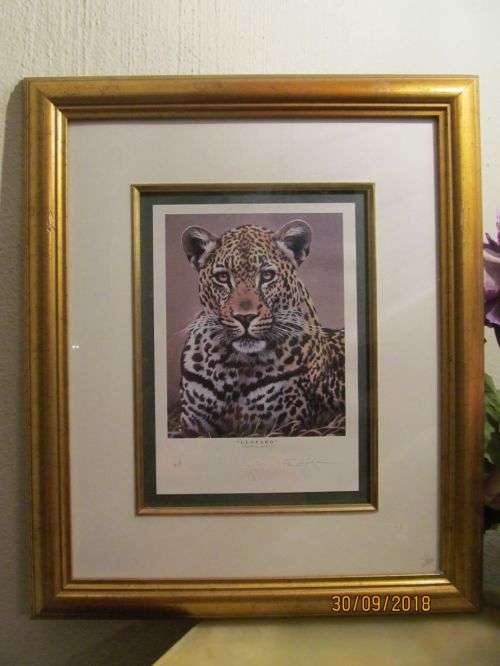 FUZ CAFORIO !! Framed Artists Proof Limited Oleographic Style Print - Wildlife - Signed by Artist