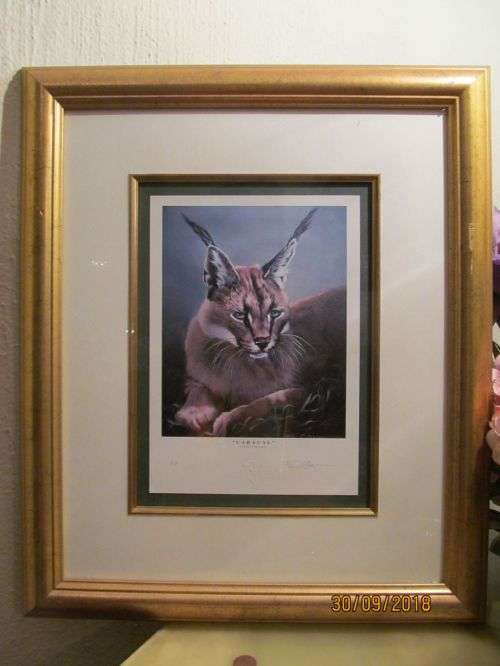 FUZ CAFORIO 3 !! Framed Artists Proof Limited Oleographic Style Print - Wildlife - Signed by Artist