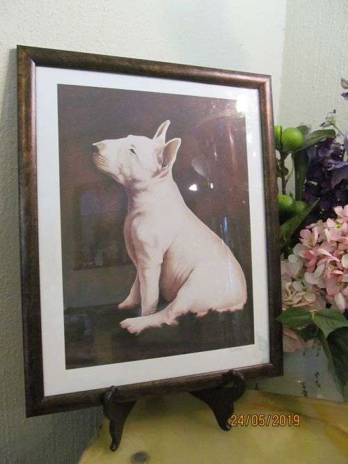 MIKE COSTELLO 3 !! Contemporary Framed Fine Art Print - The Little Bully - Listed SA Artist / Signed