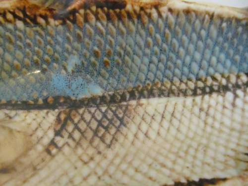 MARUYAMA TOKI !! Rare Marked Vintage 1930's Japanese Ceramic Fish Dish