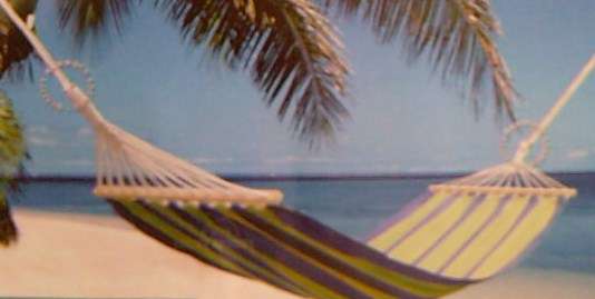 HAMMOCKS