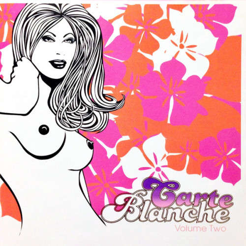 Various - Carte Blanche Volume Two CD (DEEP HOUSE IMPORT) Excellent Condition