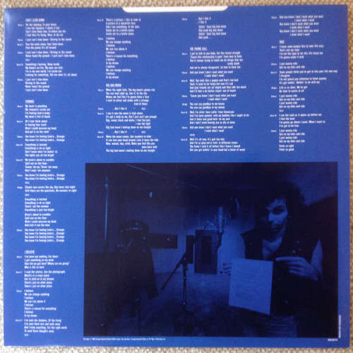 Joe Satriani  Flying In A Blue Dream Vinyl LP (IMPORT) Excellent Condition