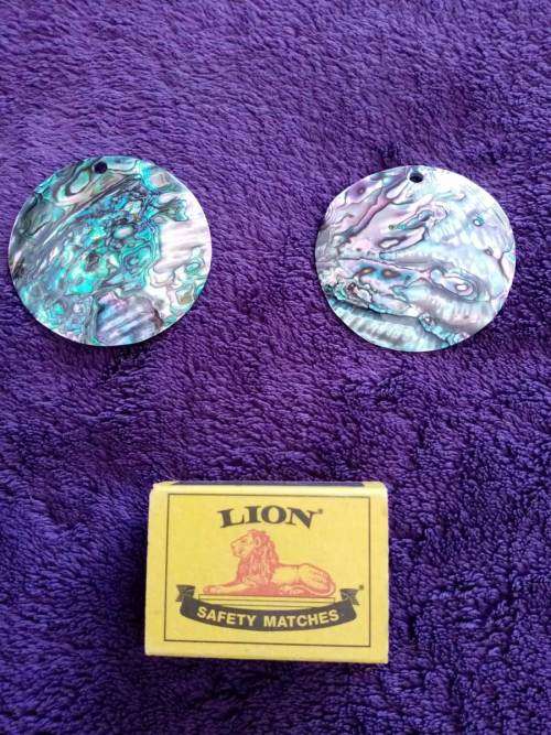 Mexican Paua Abalone Shell Earring Pieces (Price is per Pair)