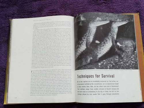 Life Nature Library - The Reptiles (Hardcover Good to Very Good Condition)