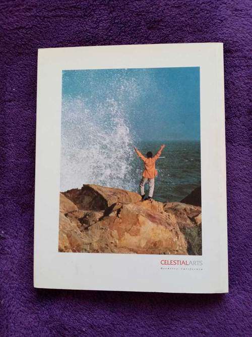 Beginner`s Tai Ji Book by Chungliang Al Huang (Softcover Excellent Condition)