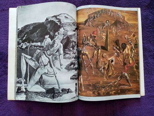 Dali Dali Dali by Max Gerhard and Dr. Pierre Roumeguere (Softcover Good Condition)