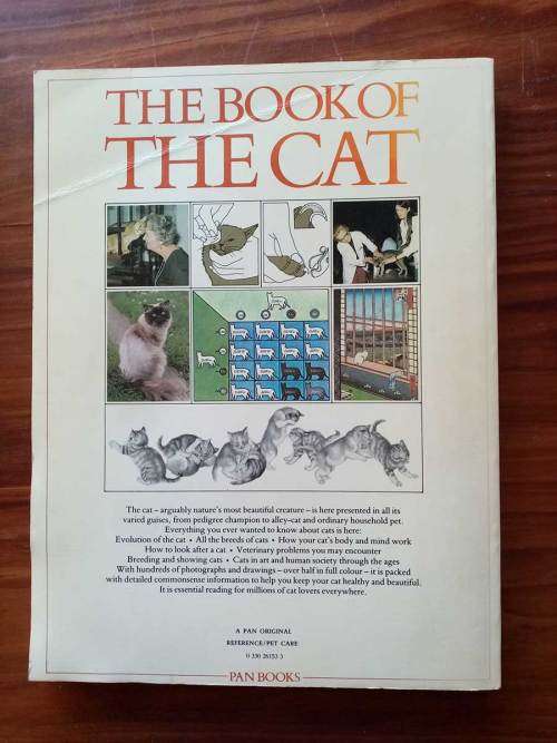 Book of the Cat by Michael Wright, Sally Walters