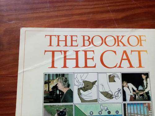 Book of the Cat by Michael Wright, Sally Walters