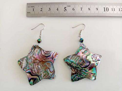 Mexican Paua Abalone Shell Earrings