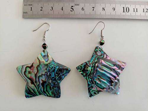 Mexican Paua Abalone Shell Earrings