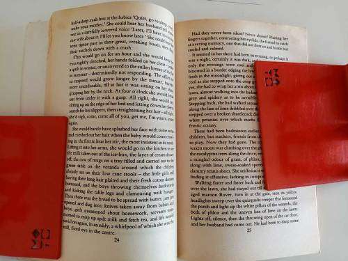 Fire on the Mountain by by Anita Desai (Softcover Good Condition)