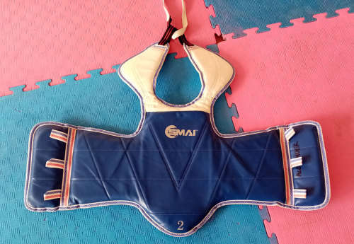 Martial Arts Reversible Chest Guard (Kids Size)