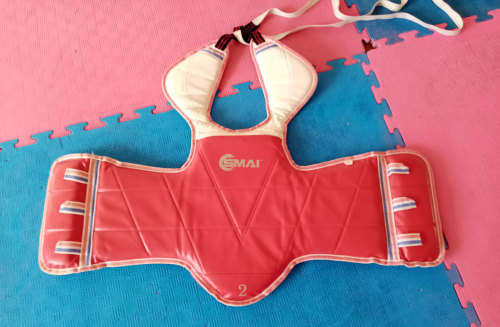 Martial Arts Reversible Chest Guard (Kids Size)
