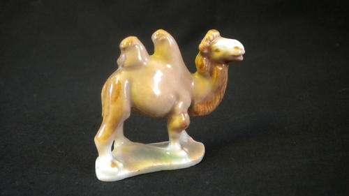 WADE WHIMISIE - CAMEL!!