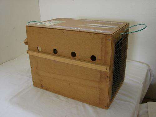 CAT TRANSPORT BOX !!!
