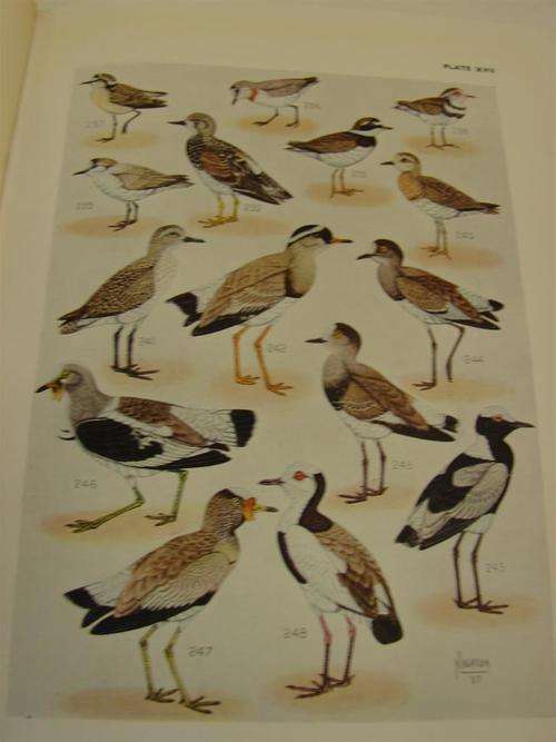 The Birds of Soth Africa - Roberts - 1946