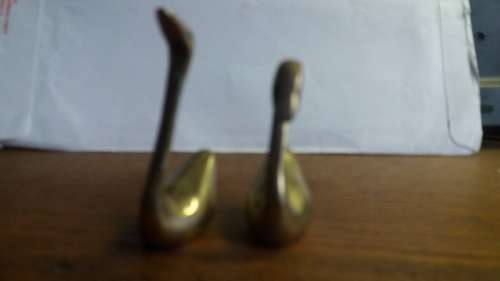 Collection of Swans