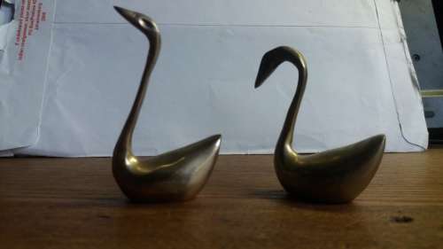 Collection of Swans