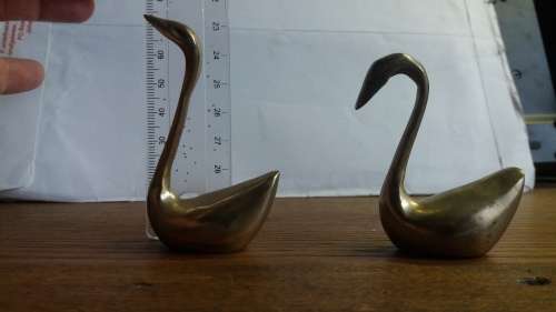 Collection of Swans