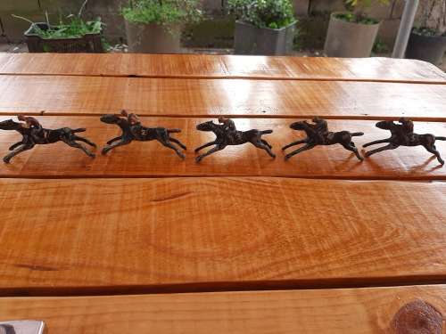 5 race horse metal