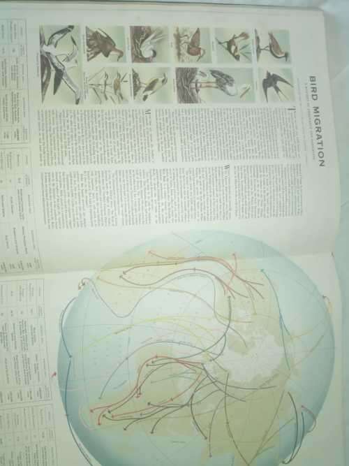 Readers digest Great World Atlas