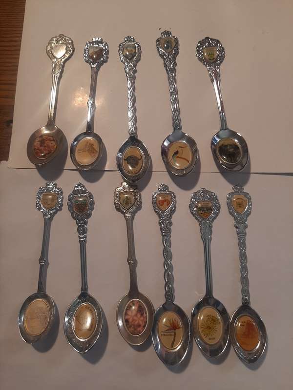 11 Stunning Teaspoons from South Africa with Fauna and Flora