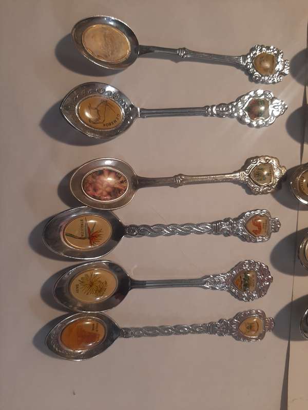 11 Stunning Teaspoons from South Africa with Fauna and Flora