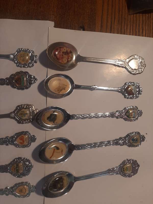 11 Stunning Teaspoons from South Africa with Fauna and Flora